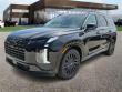 New 2025 Hyundai Palisade Calligraphy Night Edition AWD SUV