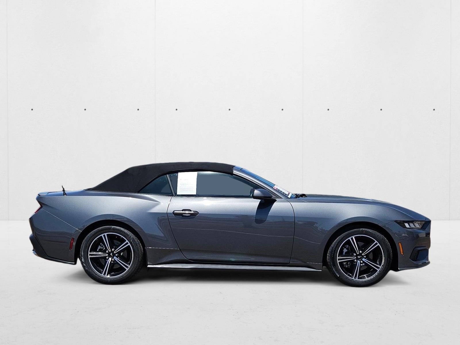 2025 Ford Mustang EcoBoost Premium photo 4