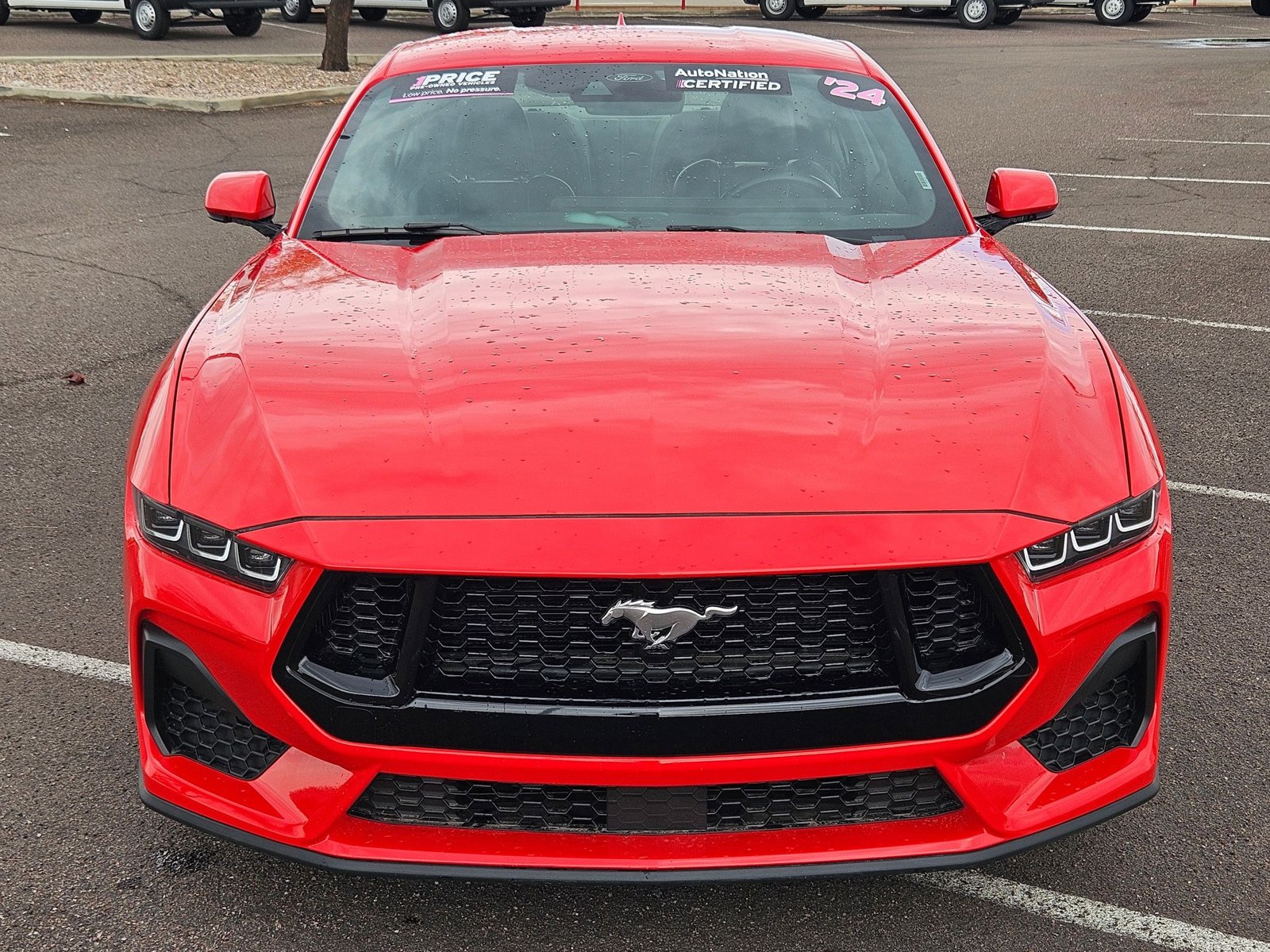 2024 Ford Mustang EcoBoost Premium photo 2