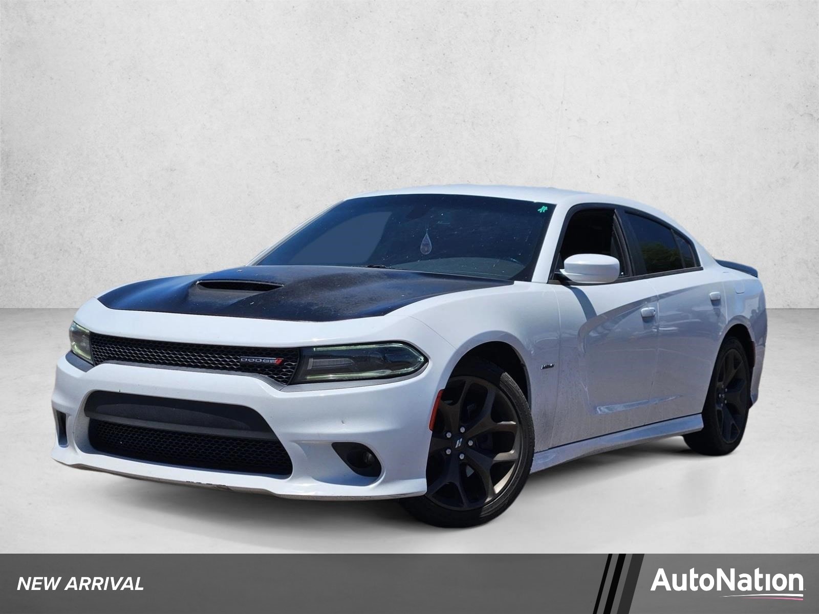 2019 Dodge Charger R/T's photo