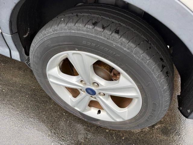 Photo 11