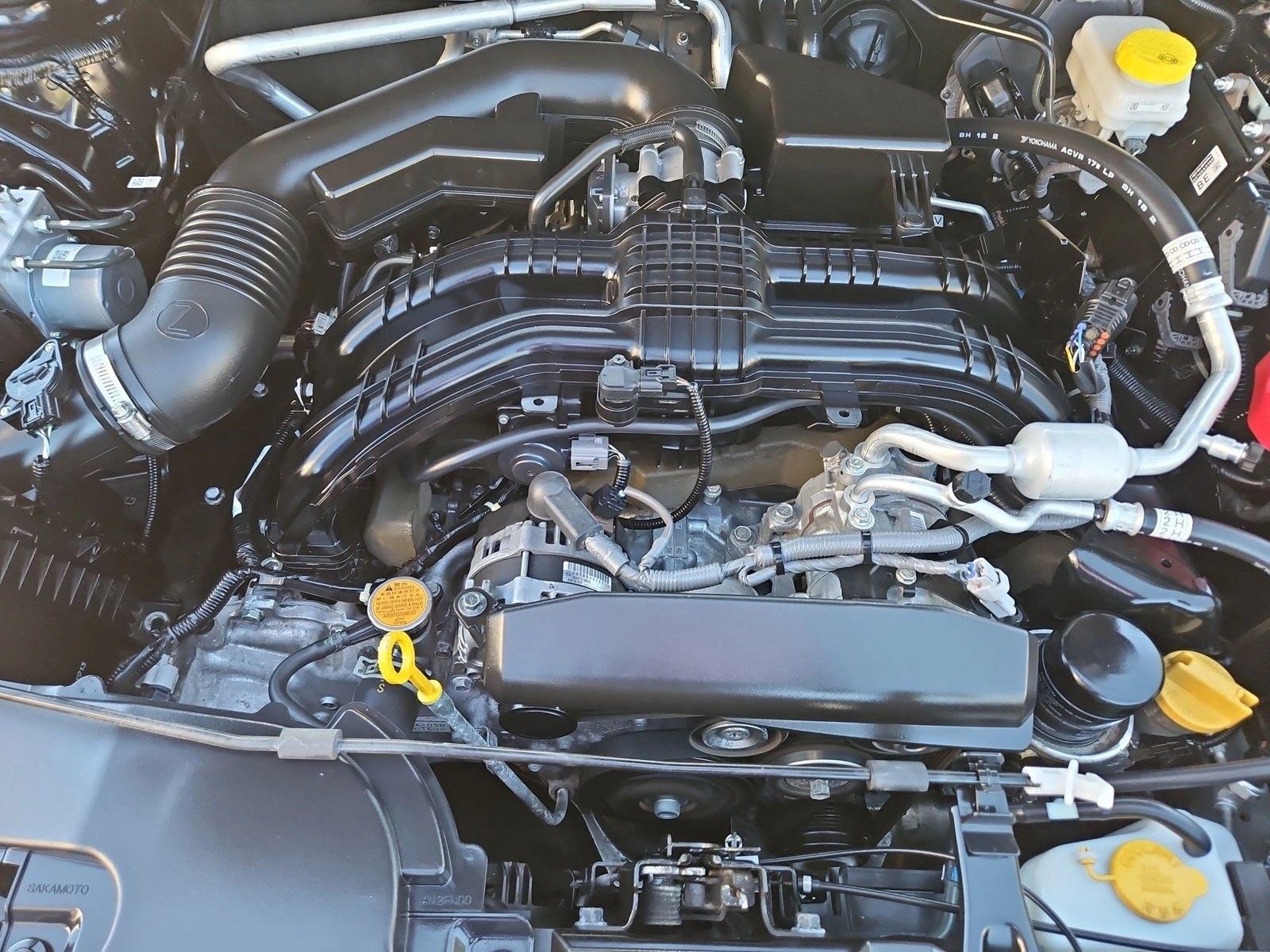 Photo 22