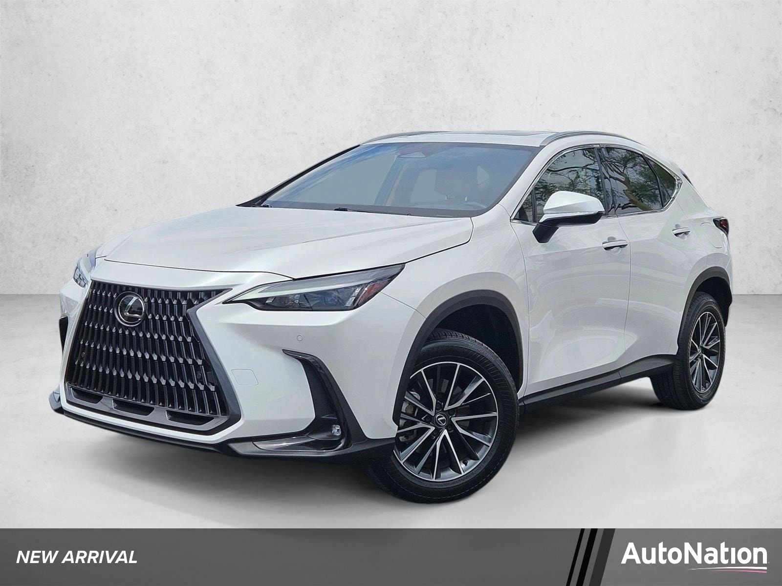2024 Lexus NX 350 350 Premium AWD's photo