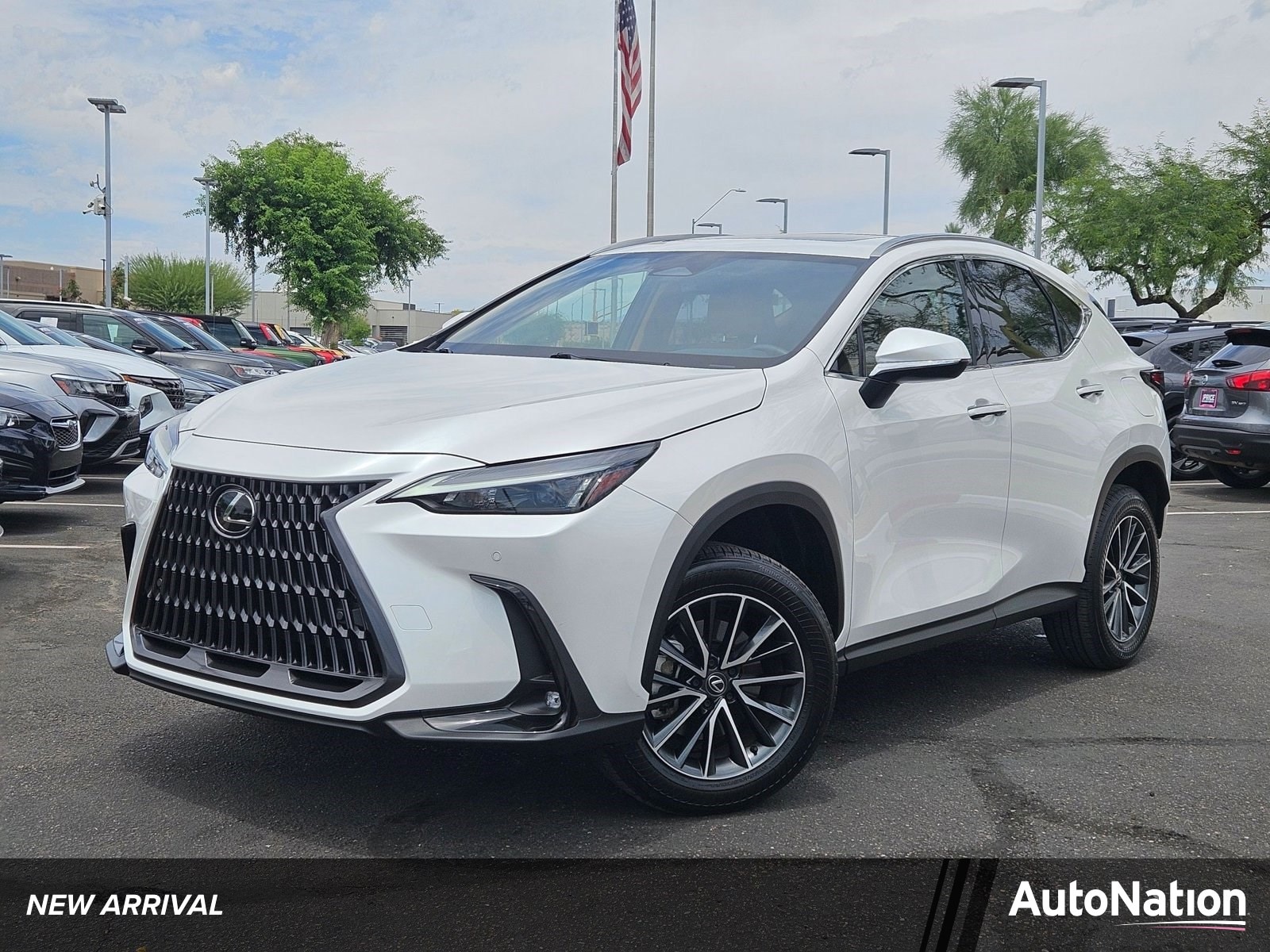 2024 Lexus NX 350 350 Premium AWD's photo