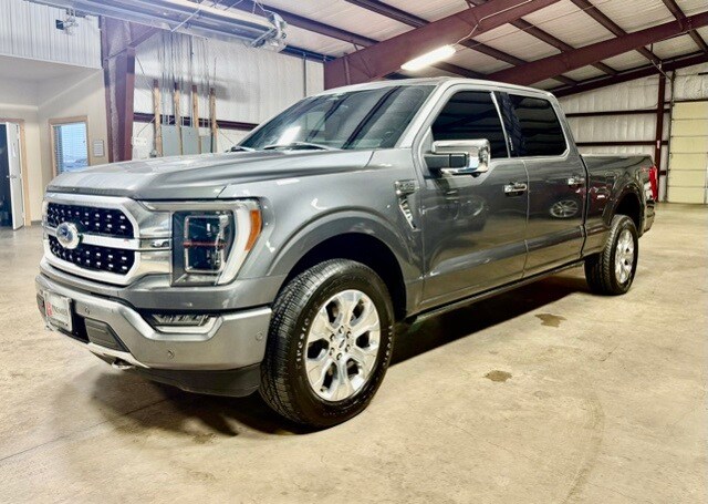 2022 Ford F-150 Platinum photo 3