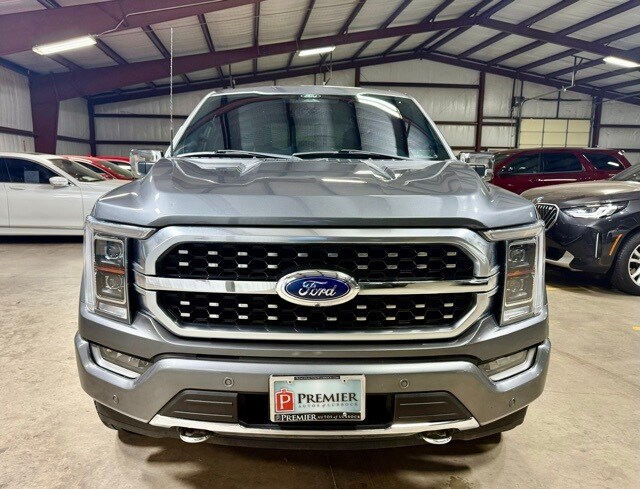 2022 Ford F-150 Platinum photo 2