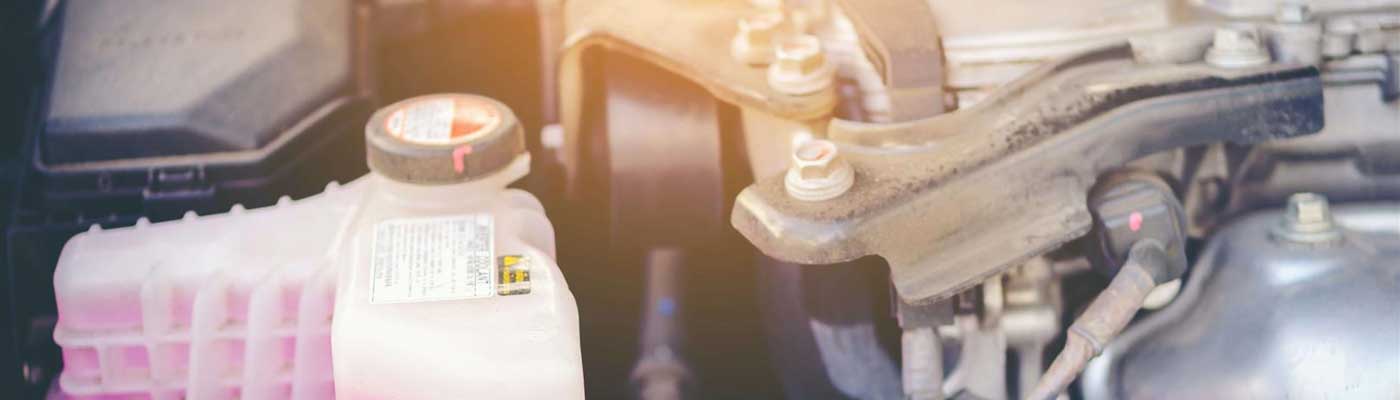 Coolant Flush in Dallas, TX