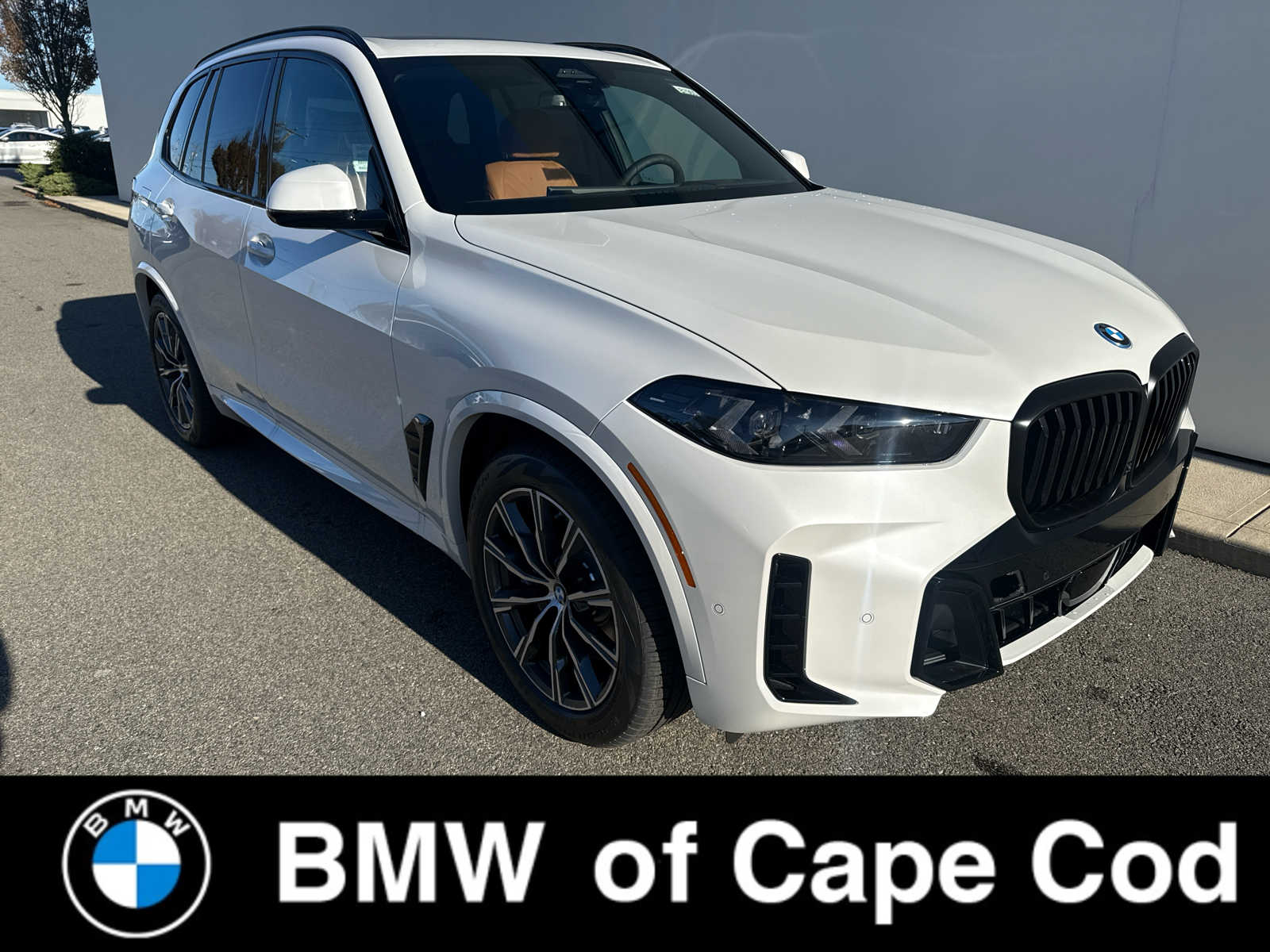 2026 BMW X5 50e's photo