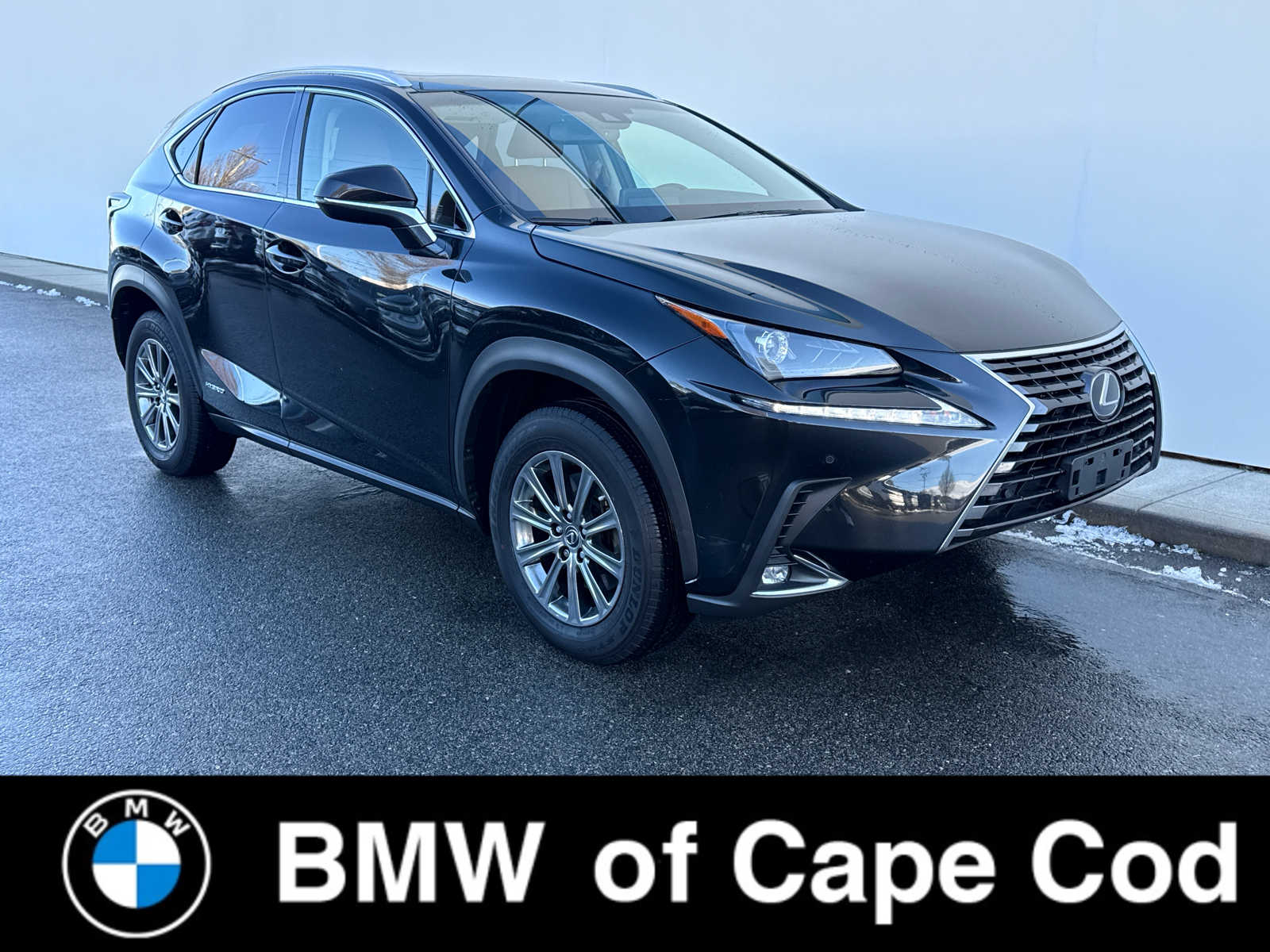 2019 Lexus NX Hybrid 300h's photo