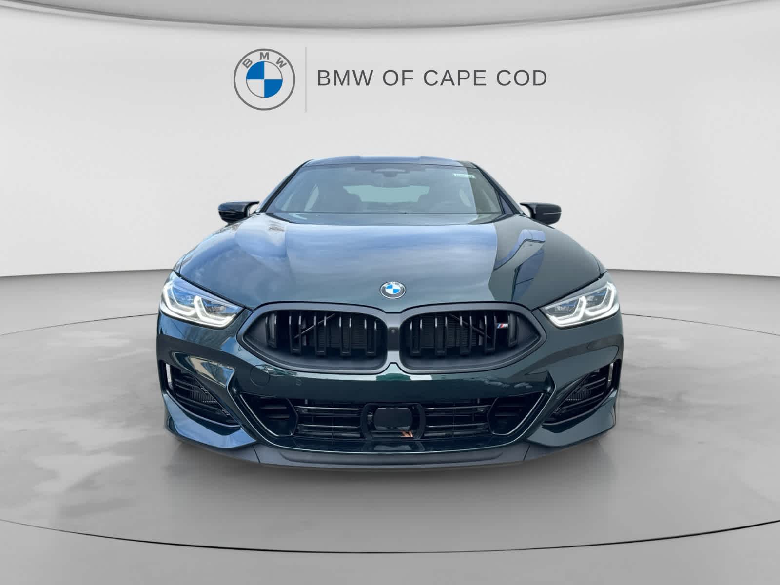 2026 BMW 8 Series M850i - Photo 8