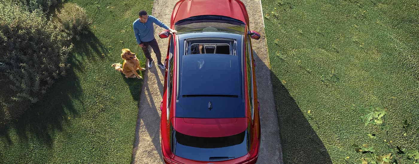 A red 2024 Ford Escape is shown from above parked in a driveway.