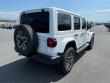2025 Jeep Wrangler 4-DOOR SAHARA Sport Utility