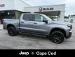 2021 Chevrolet Silverado 1500 LT Trail Boss 4WD Crew Cab 147 Truck Crew Cab