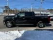 2024 Ford F-150 XLT 4WD Supercrew 5.5 Box Truck SuperCrew Cab