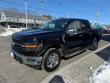 2024 Ford F-150 XLT 4WD Supercrew 5.5 Box Truck SuperCrew Cab