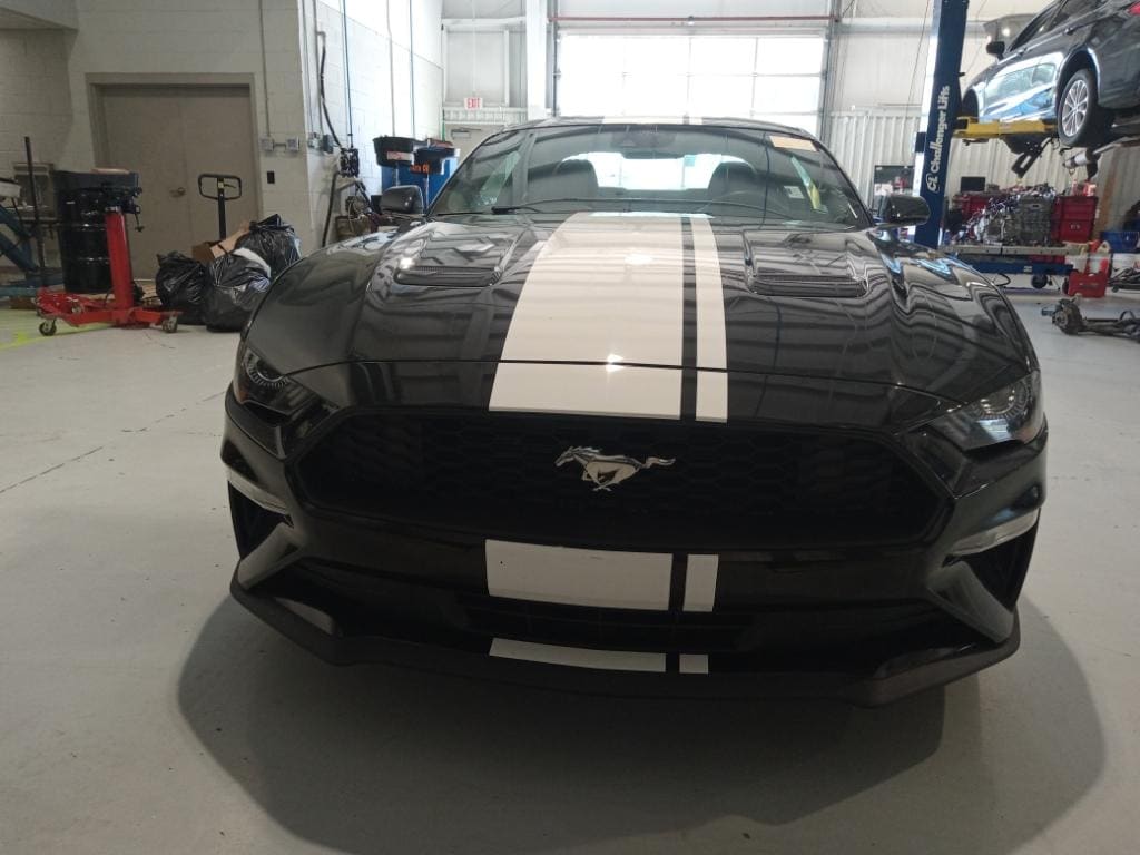 Certified 2021 Ford Mustang EcoBoost with VIN 1FA6P8TH4M5150262 for sale in Columbus, MS