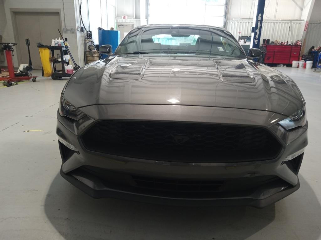 Used 2021 Ford Mustang EcoBoost Premium with VIN 1FA6P8TH3M5149054 for sale in Columbus, MS