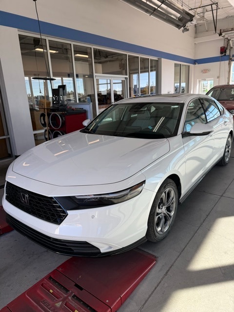 2025 Honda Accord Hybrid EX-L's photo