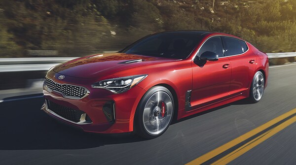 PremierKia_BlogImages_600x335_Stinger_July19.png