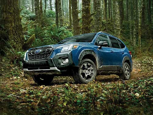 2024 Subaru Forester Wilderness