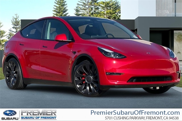 2023 Tesla Model Y Performance's photo