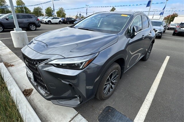 2022 Lexus NX 350h photo 2