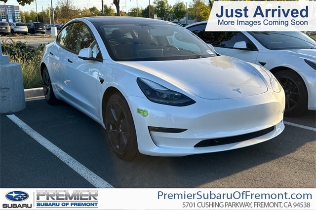 2023 Tesla Model 3 Base's photo