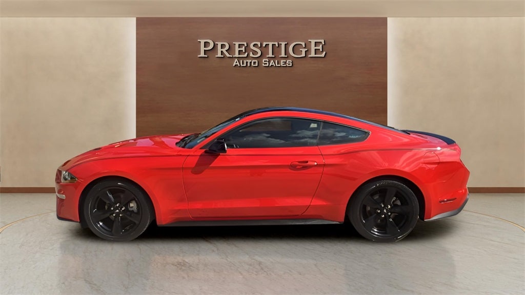2021 Ford Mustang EcoBoost's photo