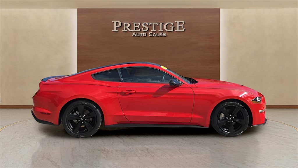 2021 Ford Mustang EcoBoost's photo