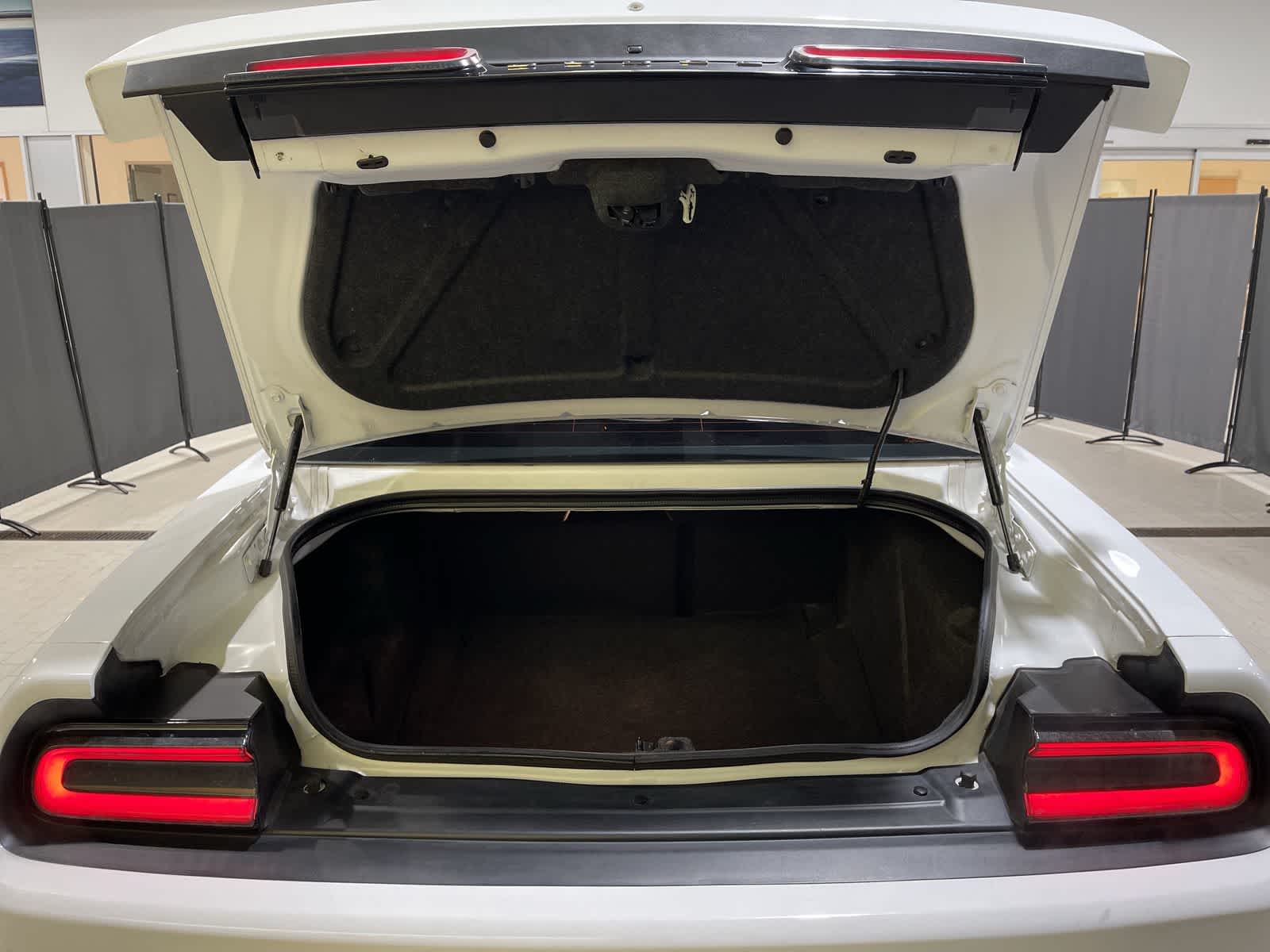 Thumbnail: 2019 Dodge Challenger - 30