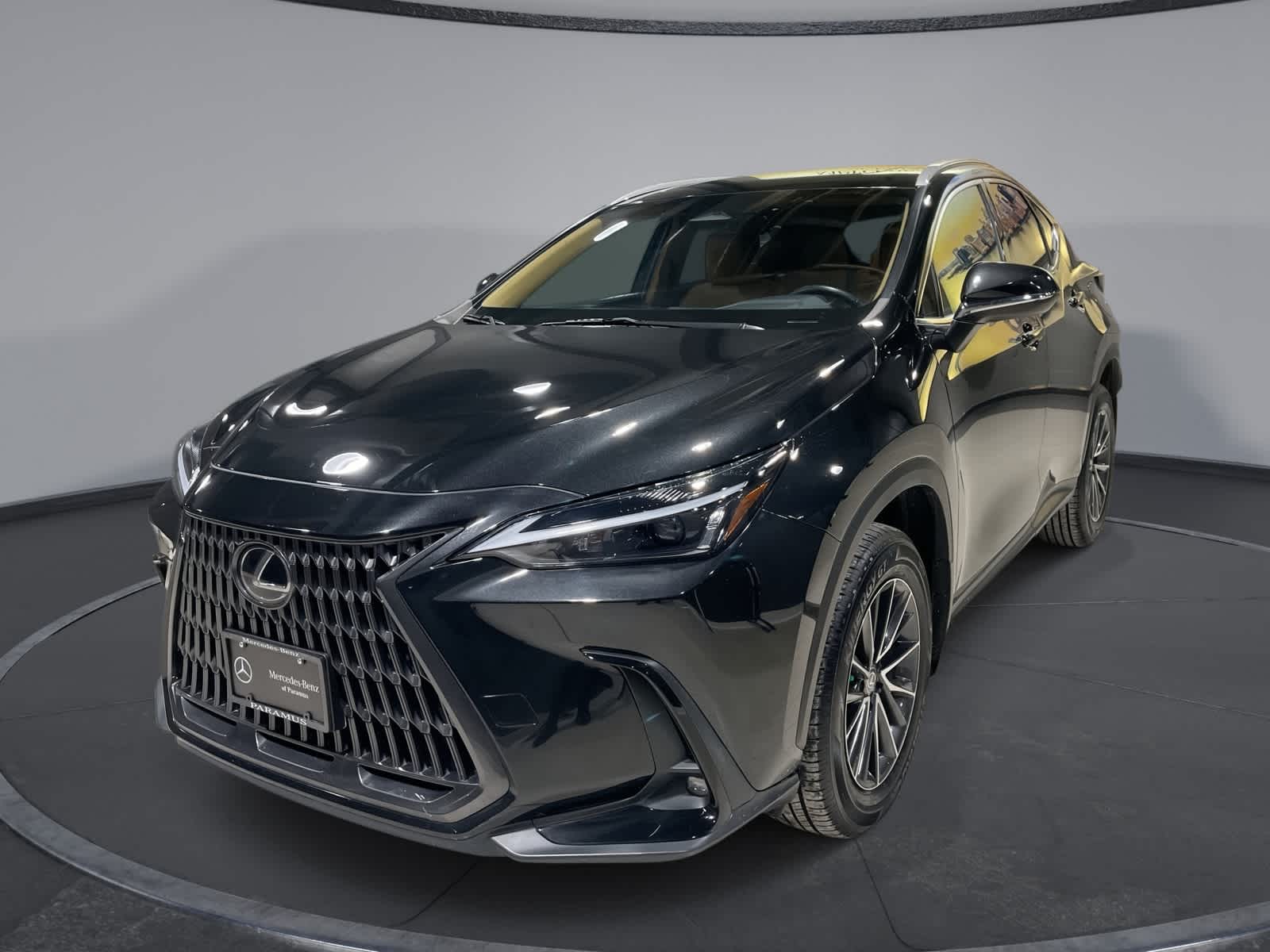 2024 Lexus NX 250's photo