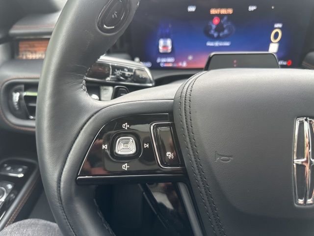 2025 Lincoln Aviator Black Label - Photo 15