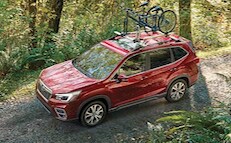 Why Buy The New 2021 Subaru Forester?