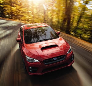 WRX vs STI