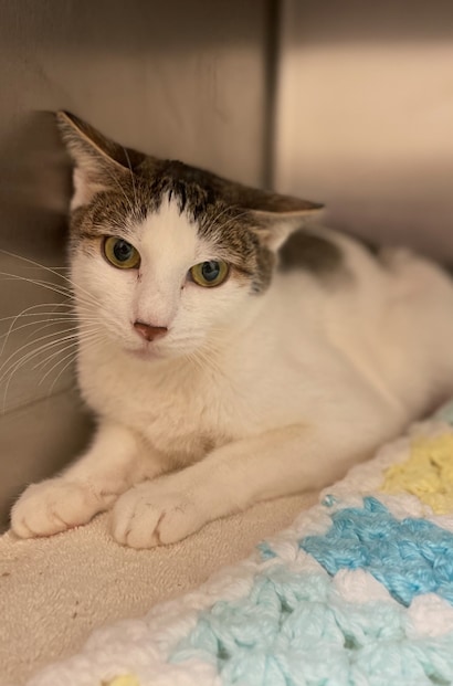 SITEBUILDER_LIVE_LOVE_RESCUE_1_MEDIA_GALLERY1_TITLE_929729717