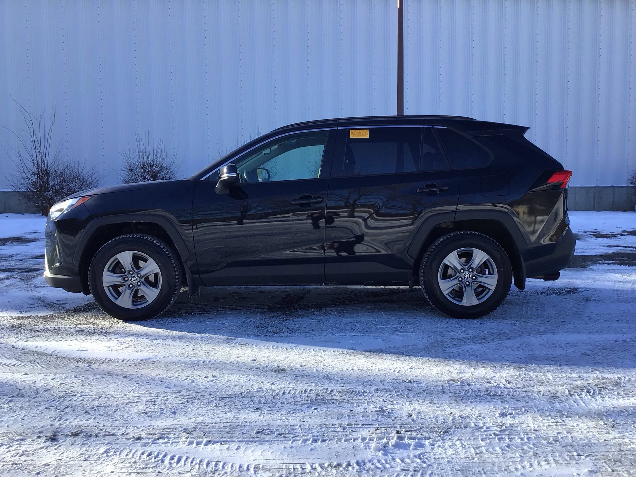 Image of 2023 Toyota RAV4 XLE SUV