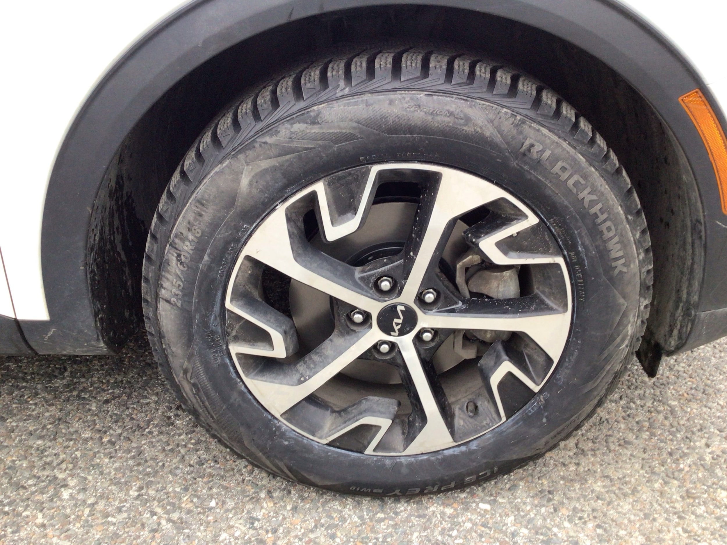 Image of 2023 Kia Sportage EX SUV