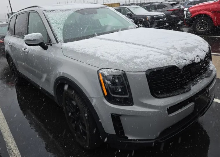 2022 Kia Telluride EX's photo