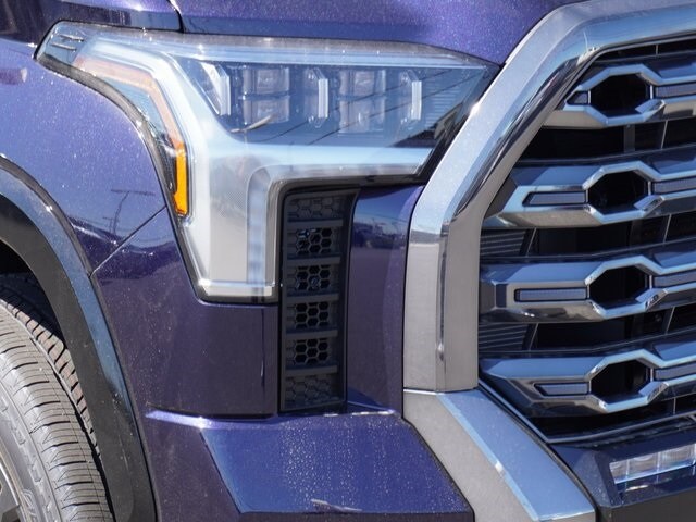 2025 Toyota Tundra Platinum CrewMax photo 3