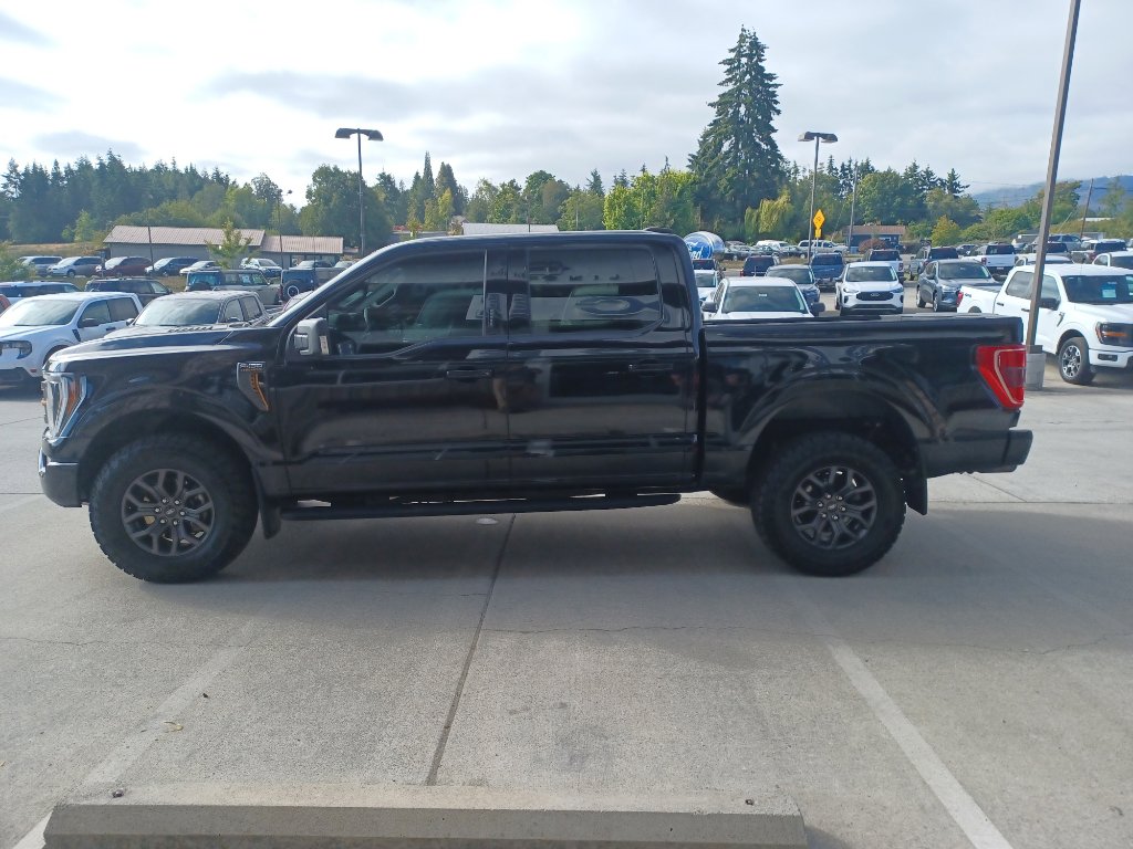 2023 Ford F-150 Tremor photo 3