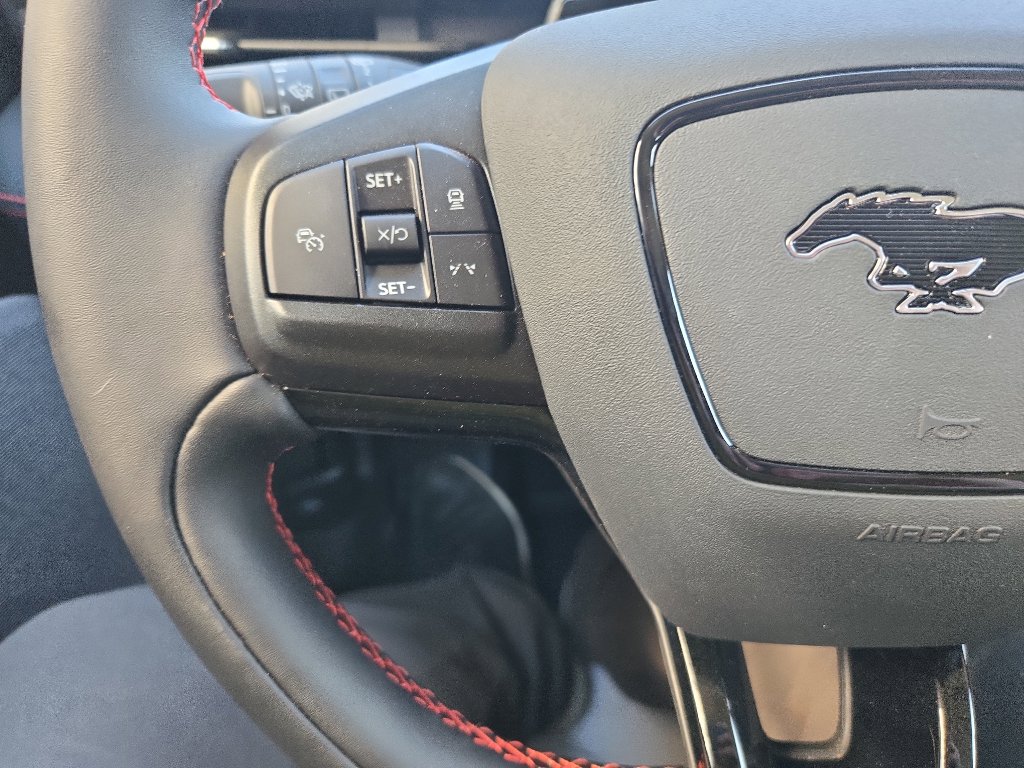 2025 Ford Mustang Mach-E Premium - Photo 15