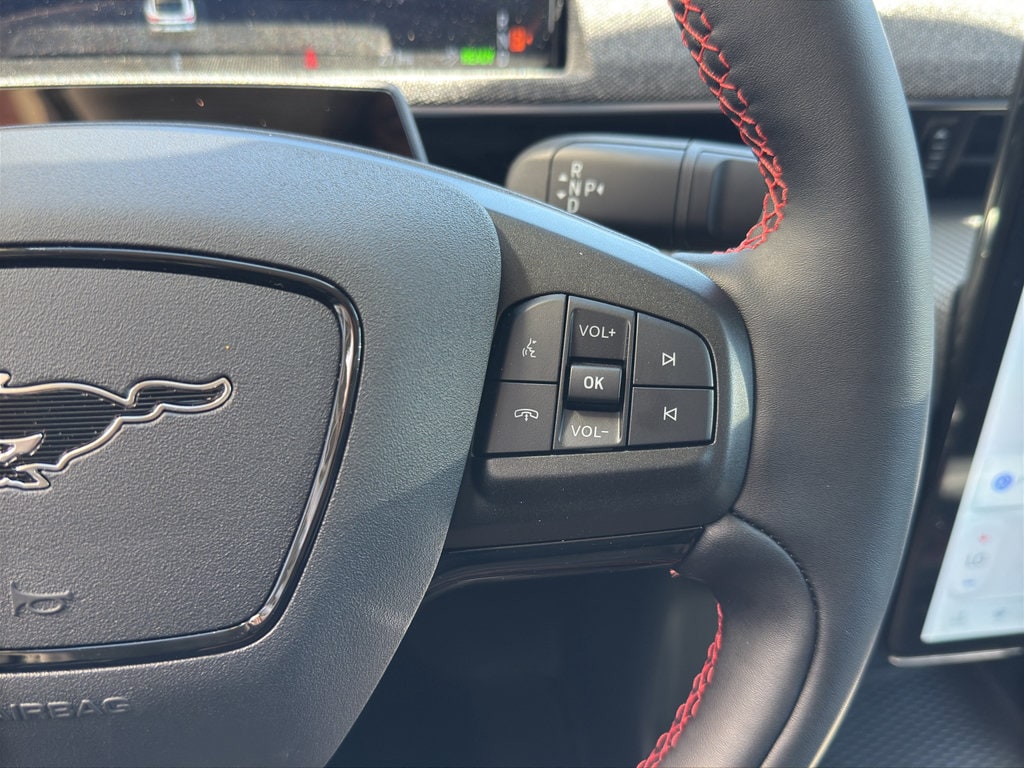 2025 Ford Mustang Mach-E Premium - Photo 24