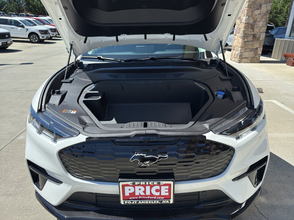 2025 Ford Mustang Mach-E Premium - Photo 14