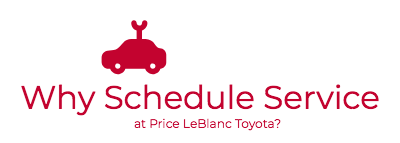 PLT-Why-Schedule-Service-Logo-Mar19.png