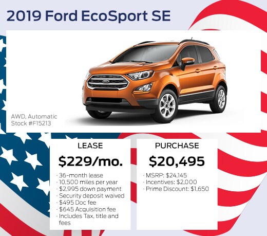 Saco-2019-Ecosport.jpg