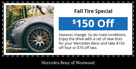 Fall-Tires.png