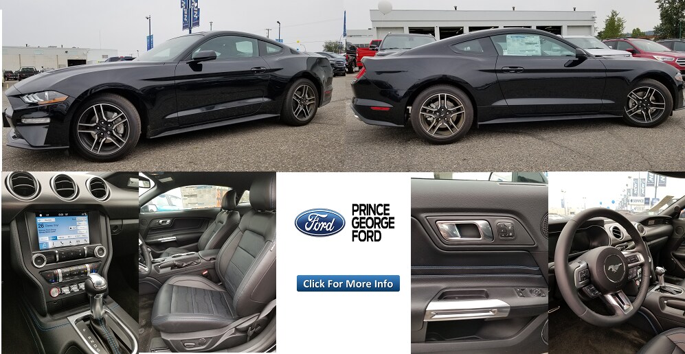 Stk# 5103141 - 2019 Ford Mustang