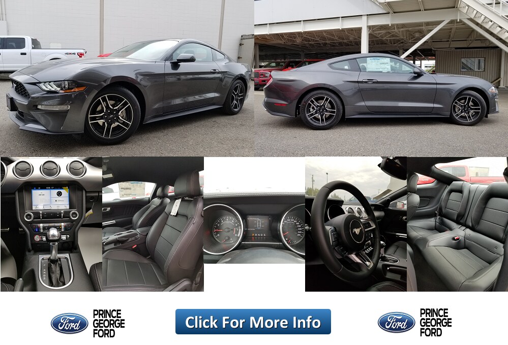Stk# 5107365 - 2019 Ford Mustang