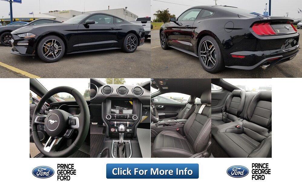 Stk# 5105168 -2019 Ford Mustang