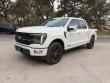 Used 2024 Ford F-150 Platinum Truck